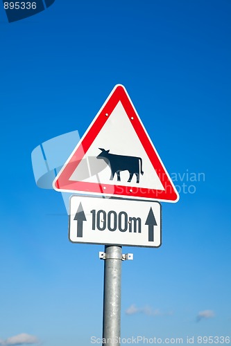 Image of Cow sign