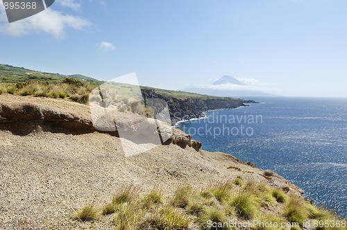 Image of Landscape in Faial, Azores