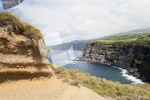 Image of Landscape in Faial, Azores