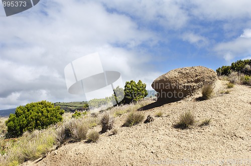 Image of Landscape in Faial, Azores