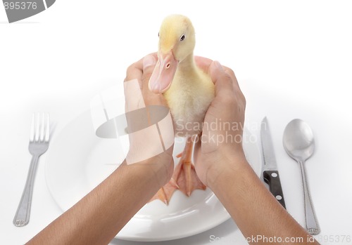 Image of Serving duck for diner