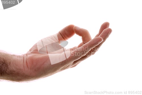 Image of male hand hanging down isolated on white