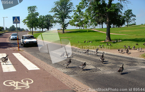 Image of Pedestrian crossing