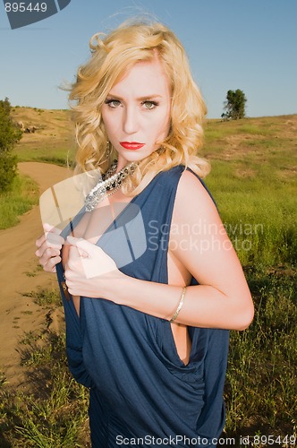 Image of Blonde