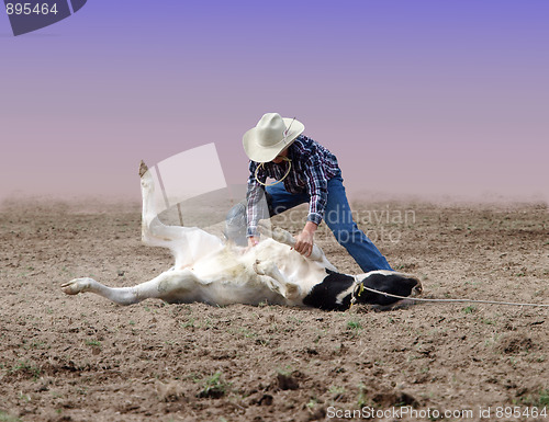 Image of Cowboy wrestling with a steer