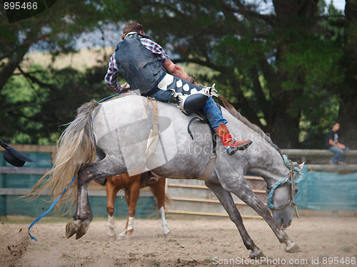 Image of Bucking Gray