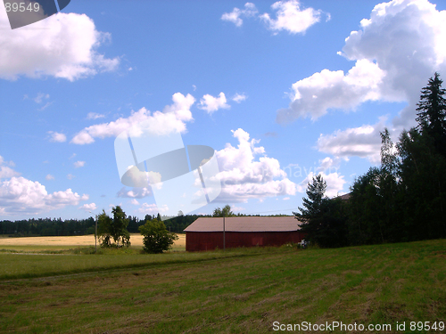 Image of Meadow, the sky and clouds