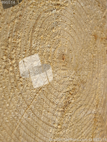 Image of Wood rings