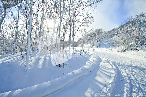 Image of Winter landscape
