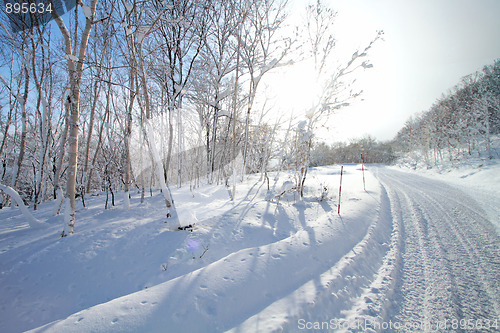 Image of Winter landscape