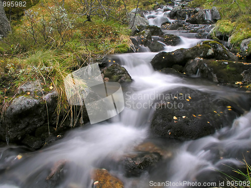 Image of Beautiful mountain stream