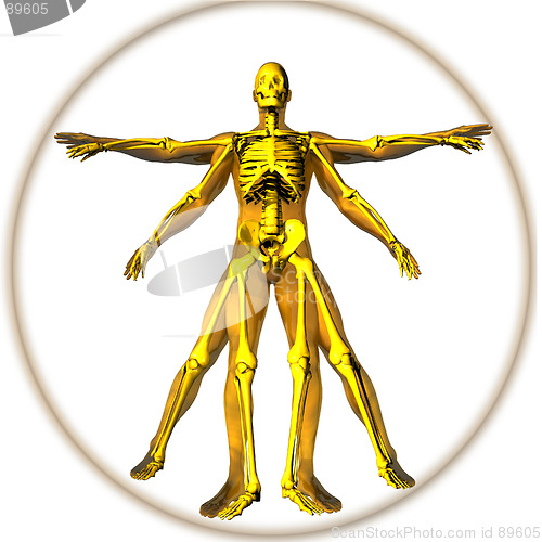 Image of Renaissance man