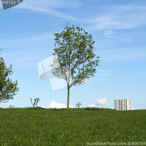 Image of Primrose Hill, London