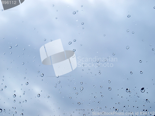 Image of Rain droplets