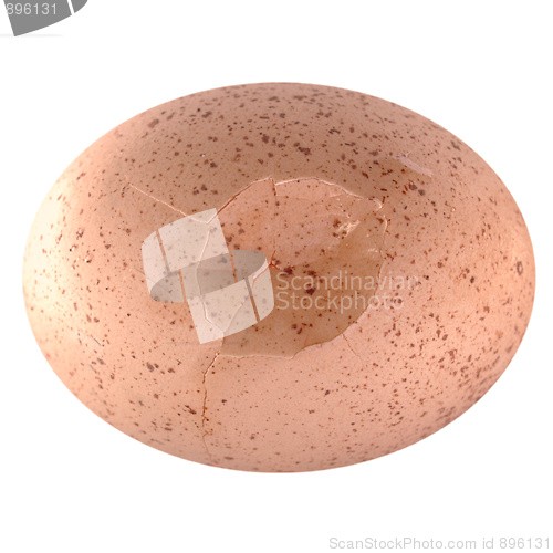 Image of Cracked egg