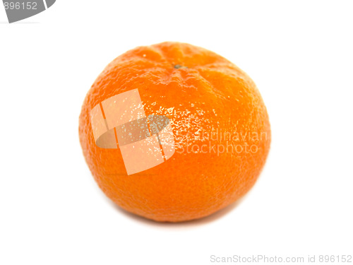 Image of Tangerine