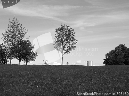 Image of Primrose Hill, London