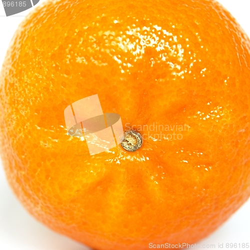 Image of Tangerine