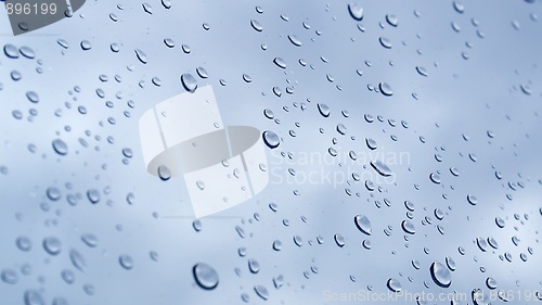 Image of Rain droplets