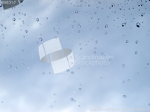 Image of Rain droplets