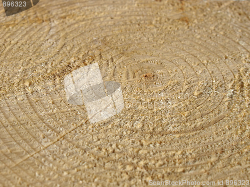 Image of Wood rings