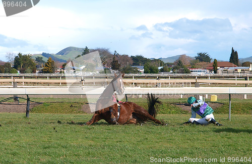 Image of Horse & Rider Down