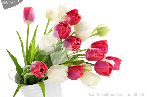 Image of Red and white tulips