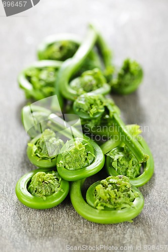 Image of Fiddleheads