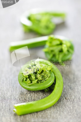 Image of Fiddleheads