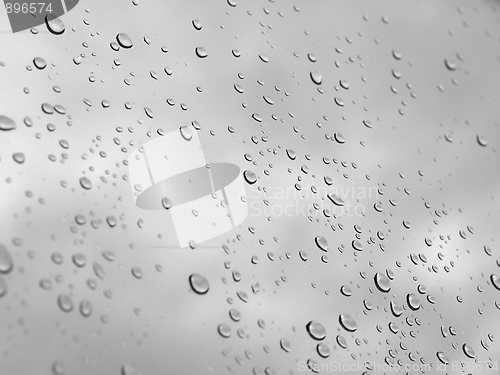 Image of Rain droplets