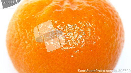 Image of Tangerine