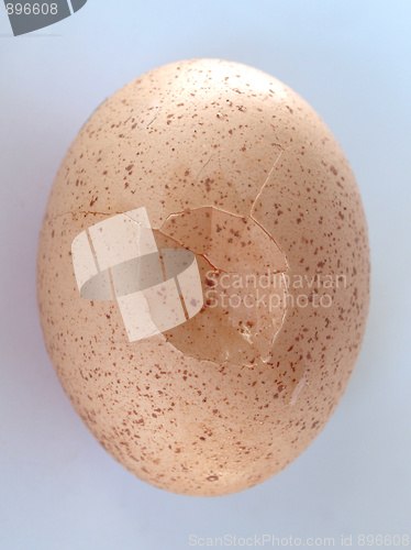 Image of Cracked egg