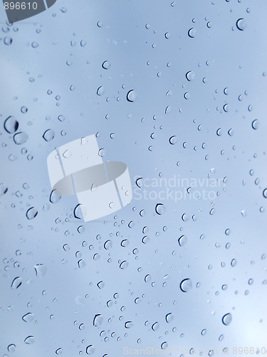 Image of Rain droplets