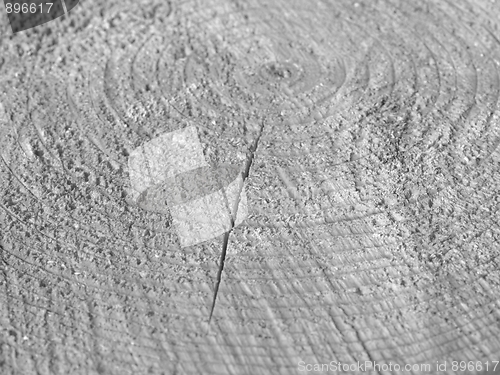 Image of Wood rings