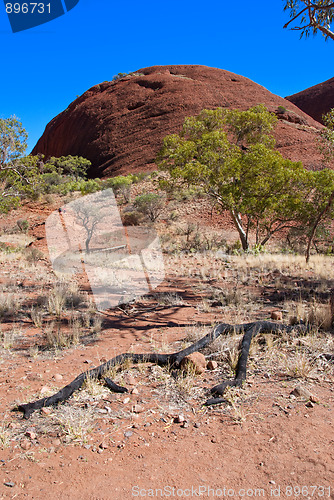 Image of Australian Outback