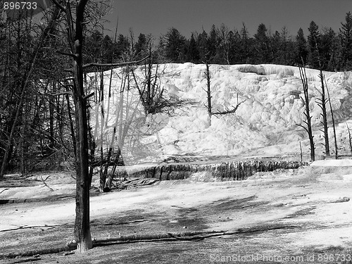 Image of Orange Spring Mound, Yellowstone