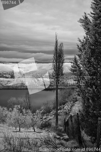 Image of Tuscan Countryside by Infrared