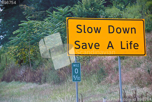 Image of Slow Down, Save a Life