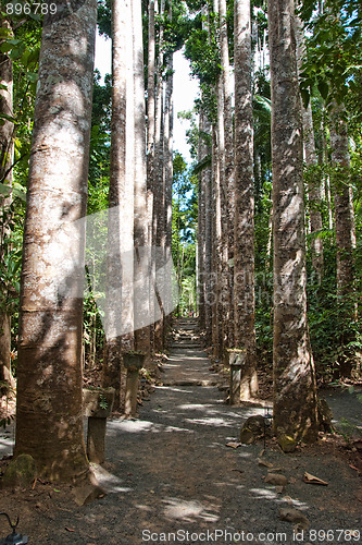 Image of Paronella Park, Australia