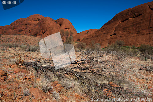 Image of Australian Outback