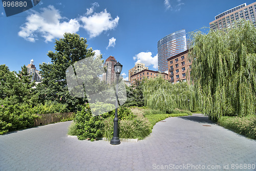 Image of Skyscrapers of New York City