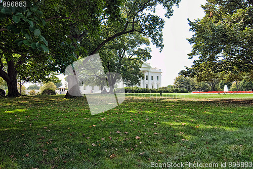 Image of White House Garden