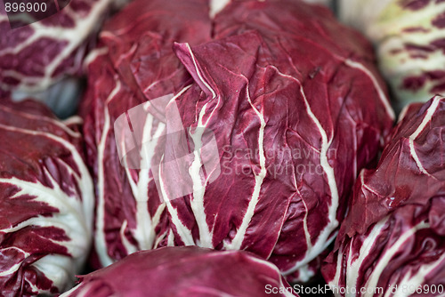 Image of Radicchio