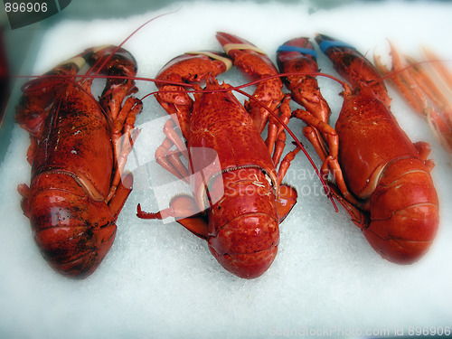 Image of Prawns in a Bergen Market, Norway