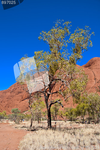 Image of Australian Outback