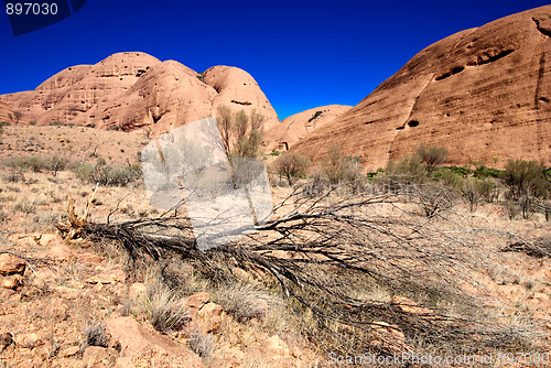 Image of Australian Outback