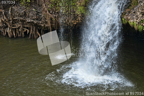 Image of Paronella Park, Queensland