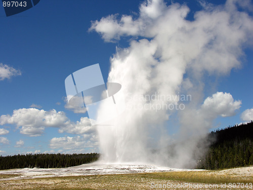 Image of Old Faithful, Yellowstone National Park