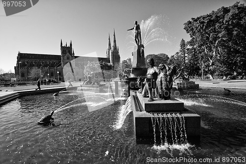 Image of Archibald Fountain, Sydney