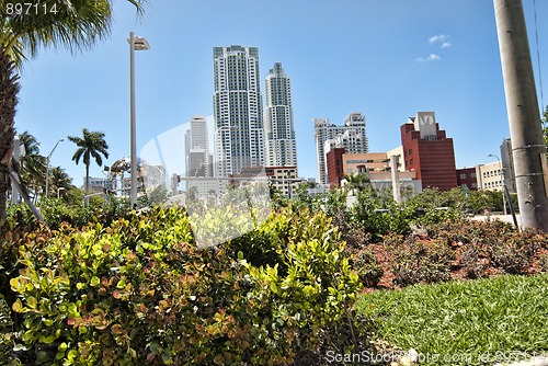 Image of Streets of Miami, Florida
